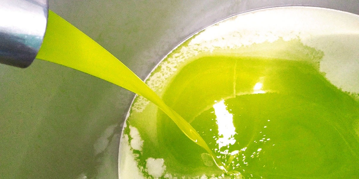 Olio nuovo RADICI (1 ottobre)